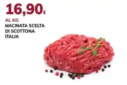 Basko Macinata scelta di scottona offerta