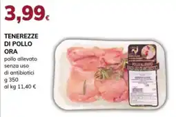 Basko Teneresse di pollo ora offerta