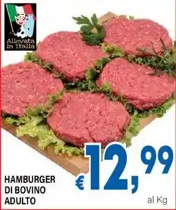 DEM Hamburger di bovino adulto offerta
