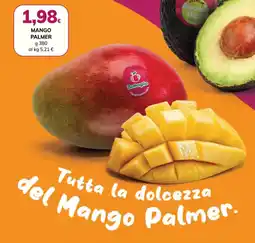 Basko Mango Palmer Battaglio offerta