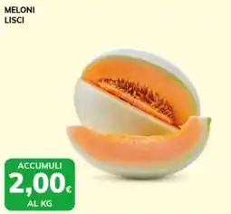 Basko Meloni lisci offerta