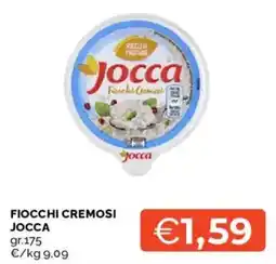 Mercatò Fiocchi cremosi Jocca offerta