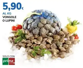 Basko Vongole o lupini offerta