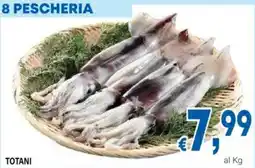 DEM Totani offerta