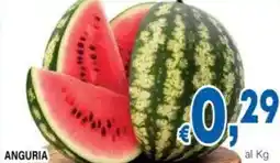 DEM Anguria offerta