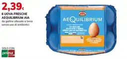 Basko Uova fresche Aequilibrium offerta