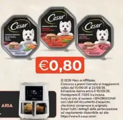 Mercatò Cesar offerta