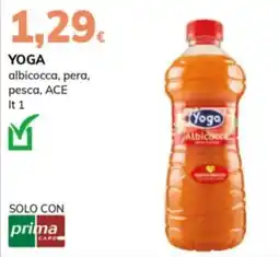 Basko Yoga albicocca offerta
