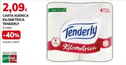 Basko Carta igienica kilometrica Tenderly offerta