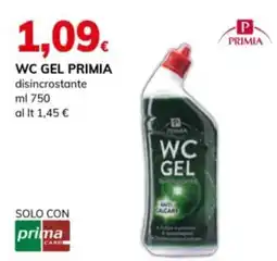 Basko WC Gel Primia offerta