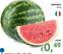 Migross Superstore Anguria offerta