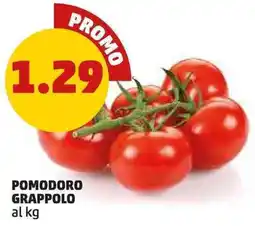 PENNY Pomodoro grappolo offerta