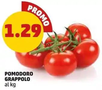 Pomodoro grappolo