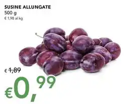 Migross Superstore Susine allungate offerta