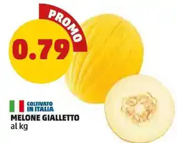 PENNY Melone Gialletto offerta