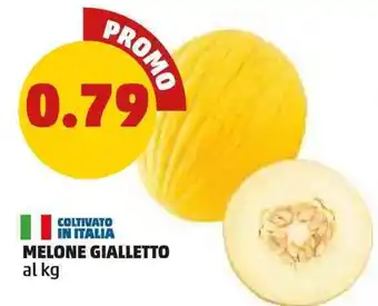 PENNY Melone Gialletto offerta