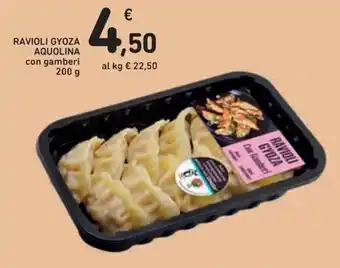 Ravioli Gyoza Aquolina