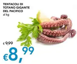 Migross Superstore Tentacoli di totano gigante del Pacifico offerta