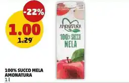 PENNY 100% succo mela Amonatura offerta