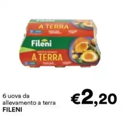 Unes Uova da allevamento a terra Fileni offerta