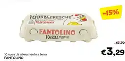 Unes 10 uova da allevamento a terra Fantolino offerta