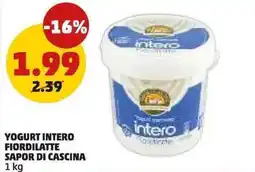 PENNY Yogurt intero fiordilatte offerta