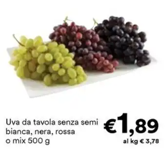 Uva da tavola senza semi