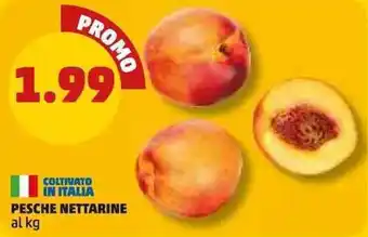 PENNY Pesche Nettarine offerta