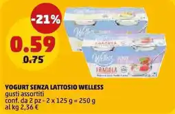 PENNY Yogurt senza lattosio Welless offerta