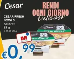 Migross Superstore Cesar Fresh Bowls Assortiti offerta