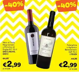 Unes Negroamaro Puglia offerta