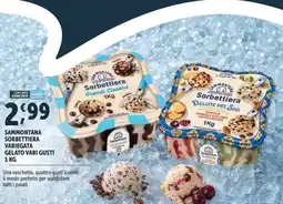 Deco Superfreddo Sammontana Sorbettiera variegata offerta