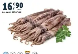 Deco Superfreddo Calamari sporchi P offerta