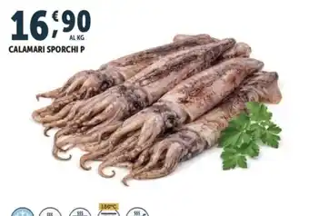 Calamari sporchi P