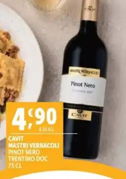 Deco Superfreddo Cavit Mastri Vernacoli Pinot Nero offerta
