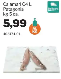 GrosMarket Calamari C4 L Patagonia offerta