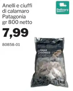 GrosMarket Anelli e ciuffi di calamaro Patagonia offerta