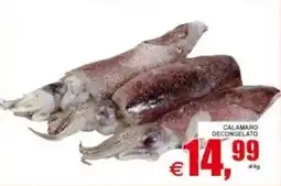 Pewex Calamaro decongelato offerta