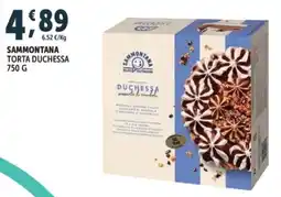 Deco Superfreddo Sammontana Torta Duchessa offerta