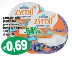 Il Castoro Supermercati Parmalat zymil yogurt alla greca bianco offerta
