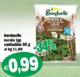 Il Castoro Supermercati Bonduelle rucola igp offerta