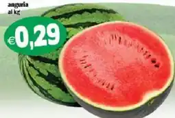 Il Castoro Supermercati anguria offerta