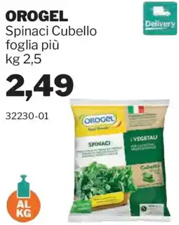 GrosMarket Orogel spinaci cubello offerta