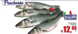 Pewex Spigola offerta