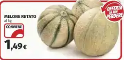 Ipercoop Melone retato offerta