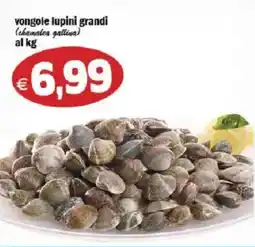 Il Castoro Supermercati Vongole lupini grandi offerta