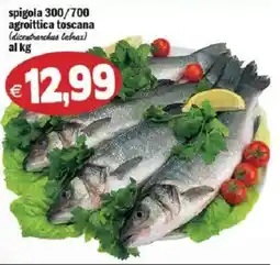 Il Castoro Supermercati spigola agroittica toscana offerta