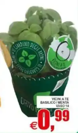 Pewex Il giardino degli aromi Basilico / Menta offerta