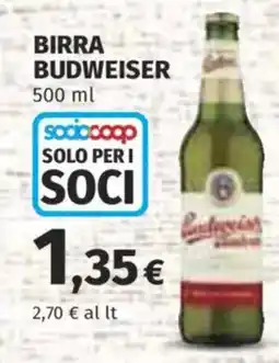 Ipercoop Birra Budweiser offerta