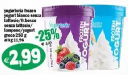 Il Castoro Supermercati Yogurteria frozen yogurt bianco senza lattosio offerta